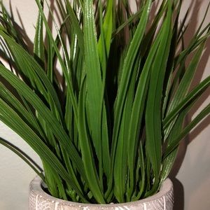 Meet your Posher, Neo